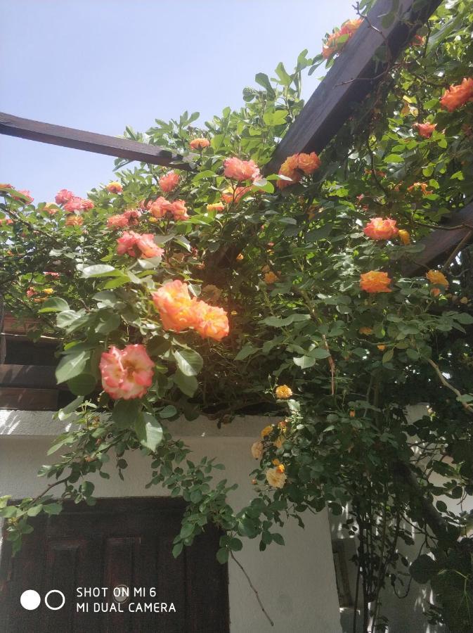 Hotel Papanovata House Enina Zewnętrze zdjęcie
